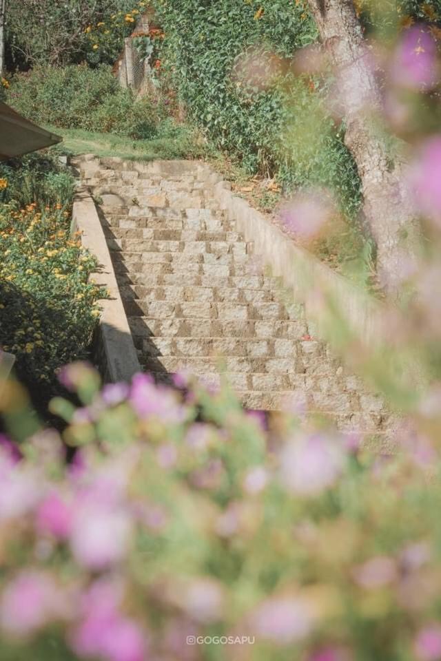 Biet Thu Trang Da Lat Villa Exterior foto