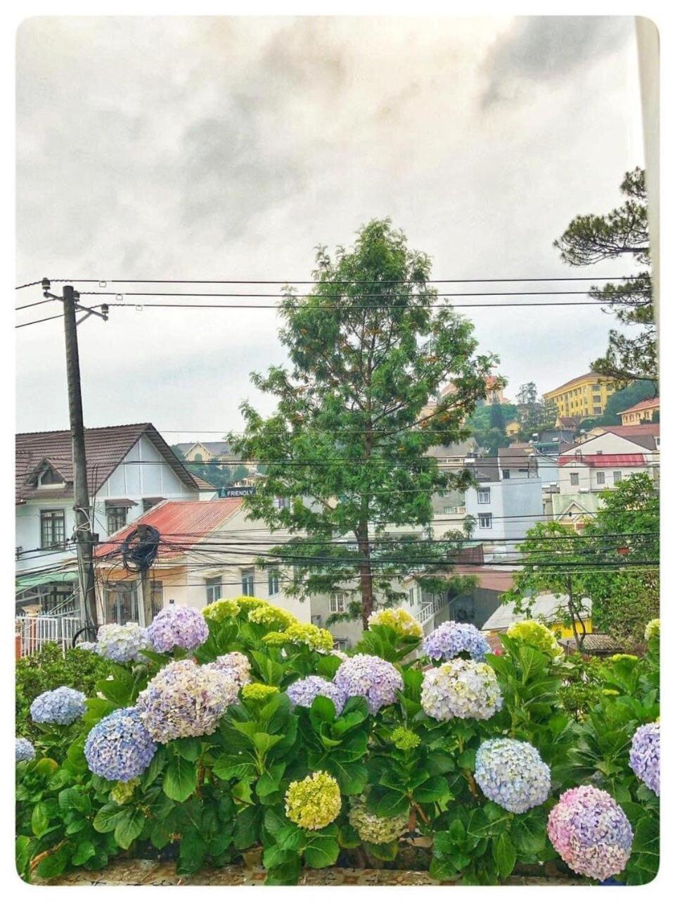 Biet Thu Trang Da Lat Villa Exterior foto